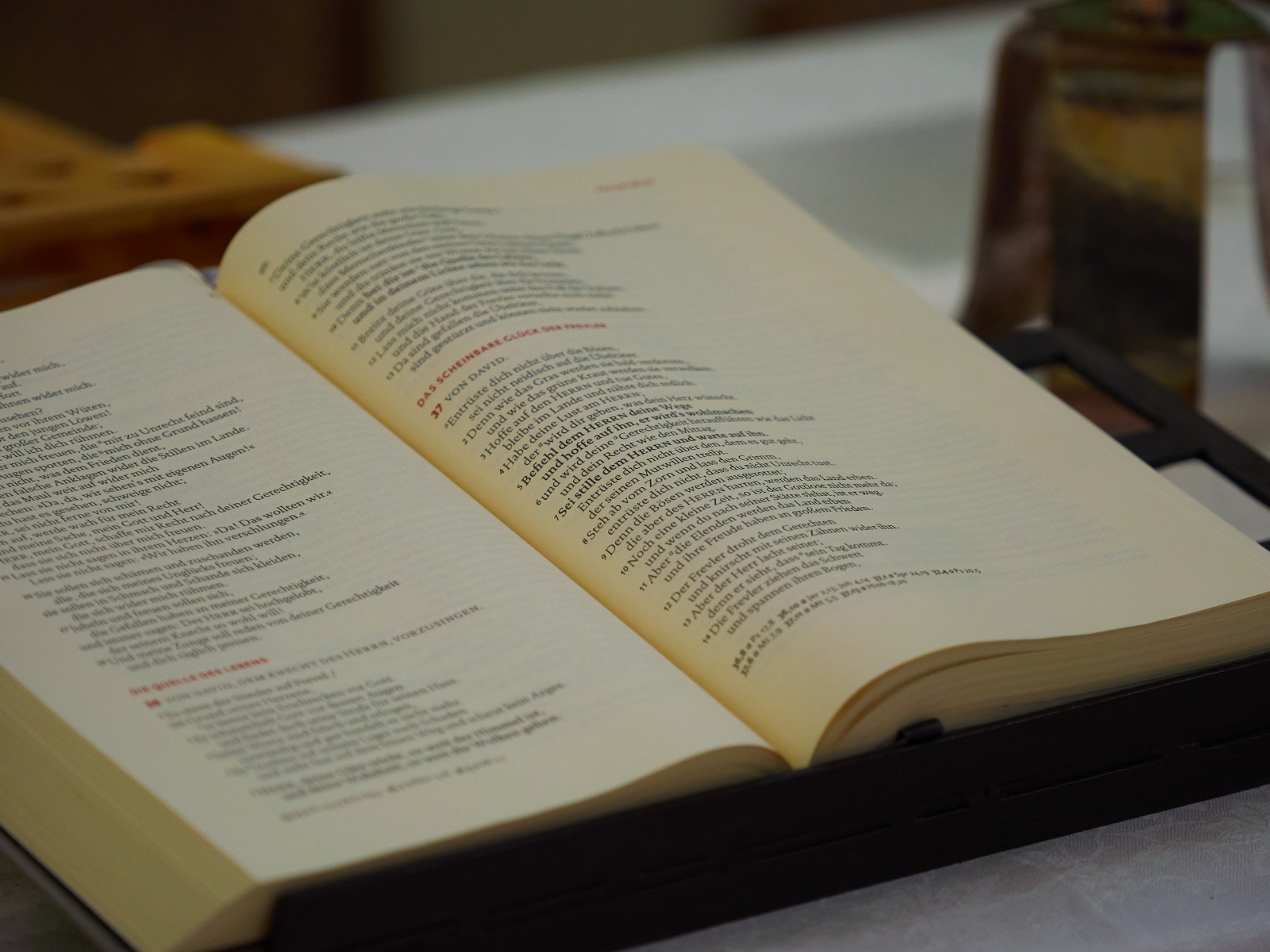 Hochzeit Sabine und Morten 2020 09 19 10.48.33